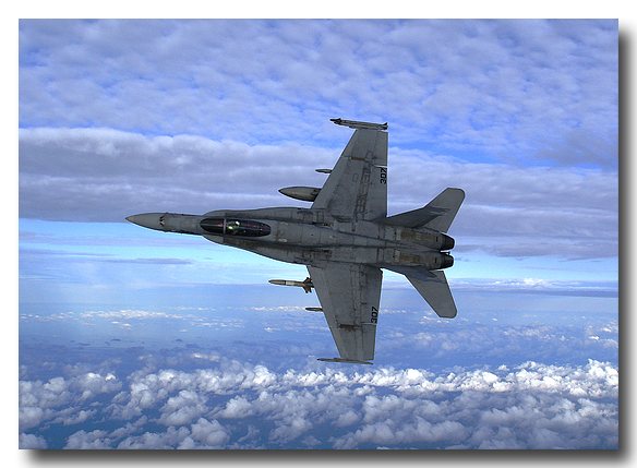 Dragon Hornet in Flight